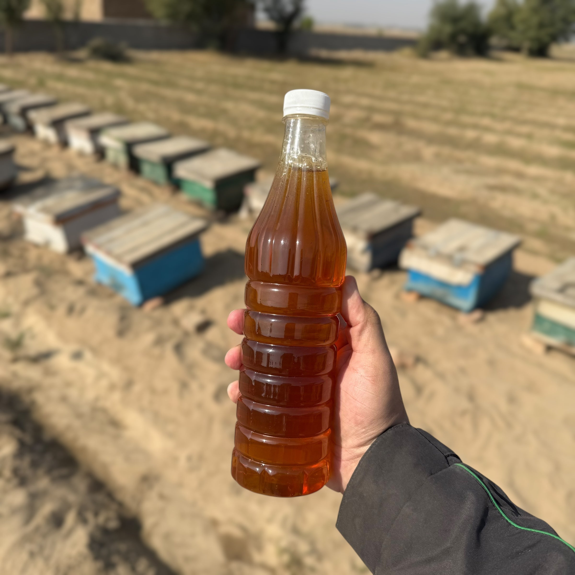 Original Sidr Bera Honey