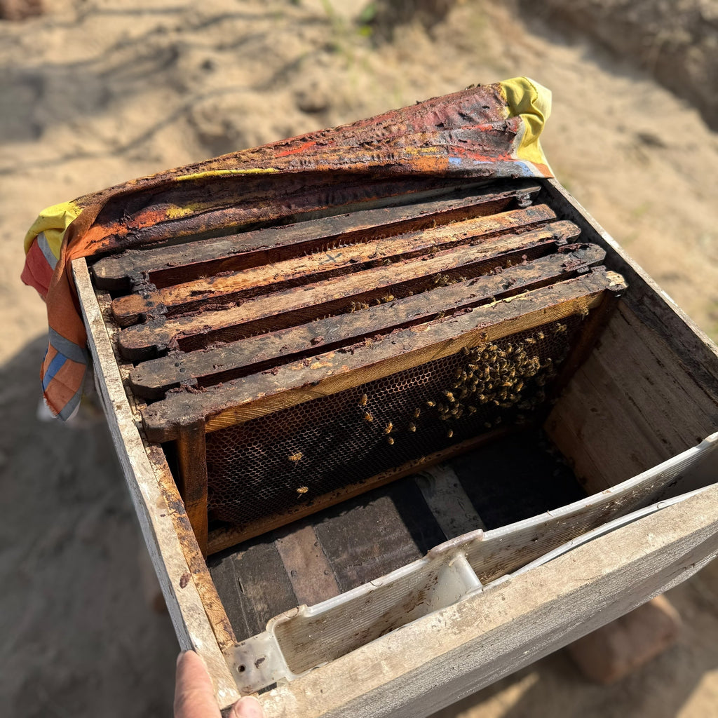 Original Sidr Bera Honey