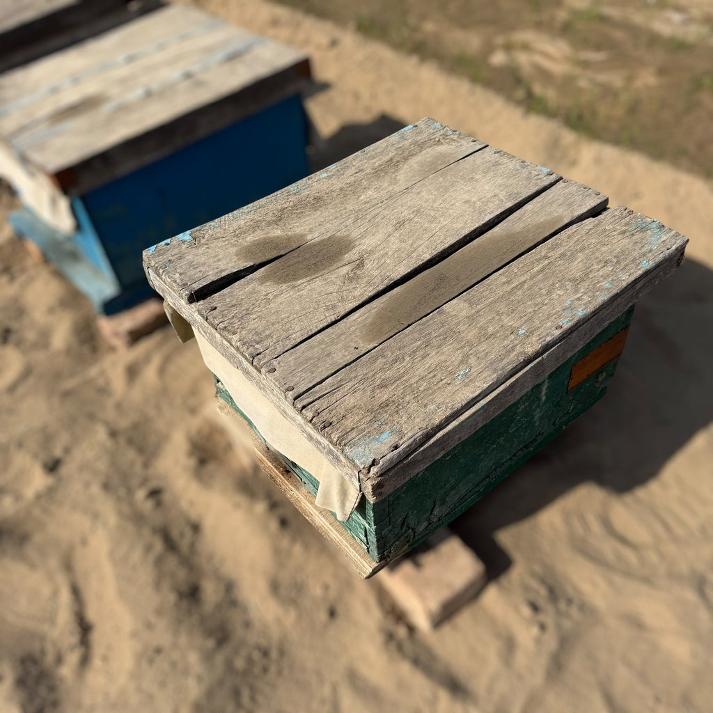 Original Sidr Bera Honey